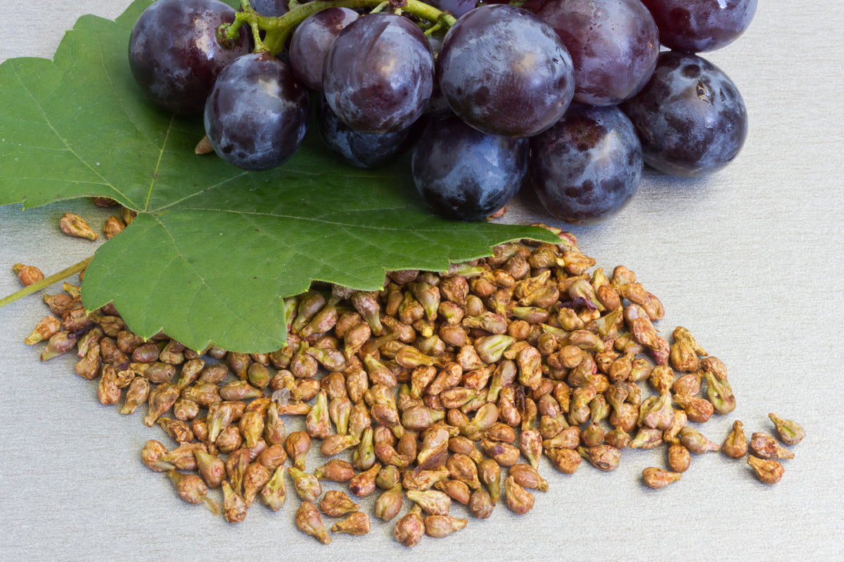 Viniseera Grape seed powder • 250 g