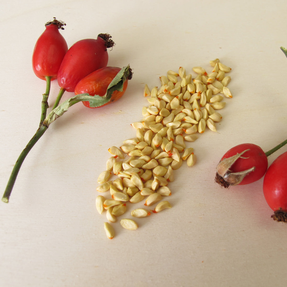 Mannavita Hungarian cold-pressed Rosehip seed oil • 40 ml