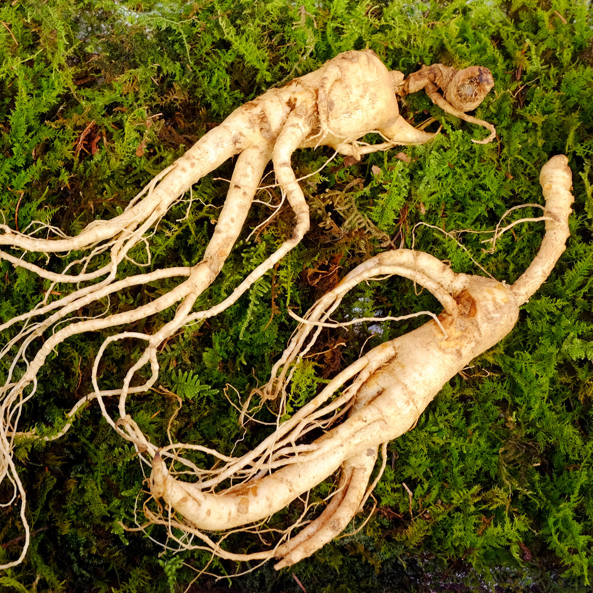 ENDOQIN manpower forte • 90 capsules