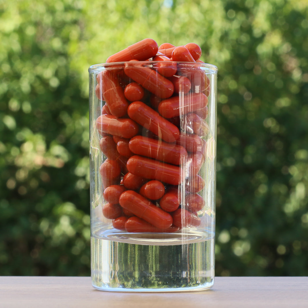 FEMNOX Royal Jelly + Inositol + Folic Acid + B12 complex • 90 capsules