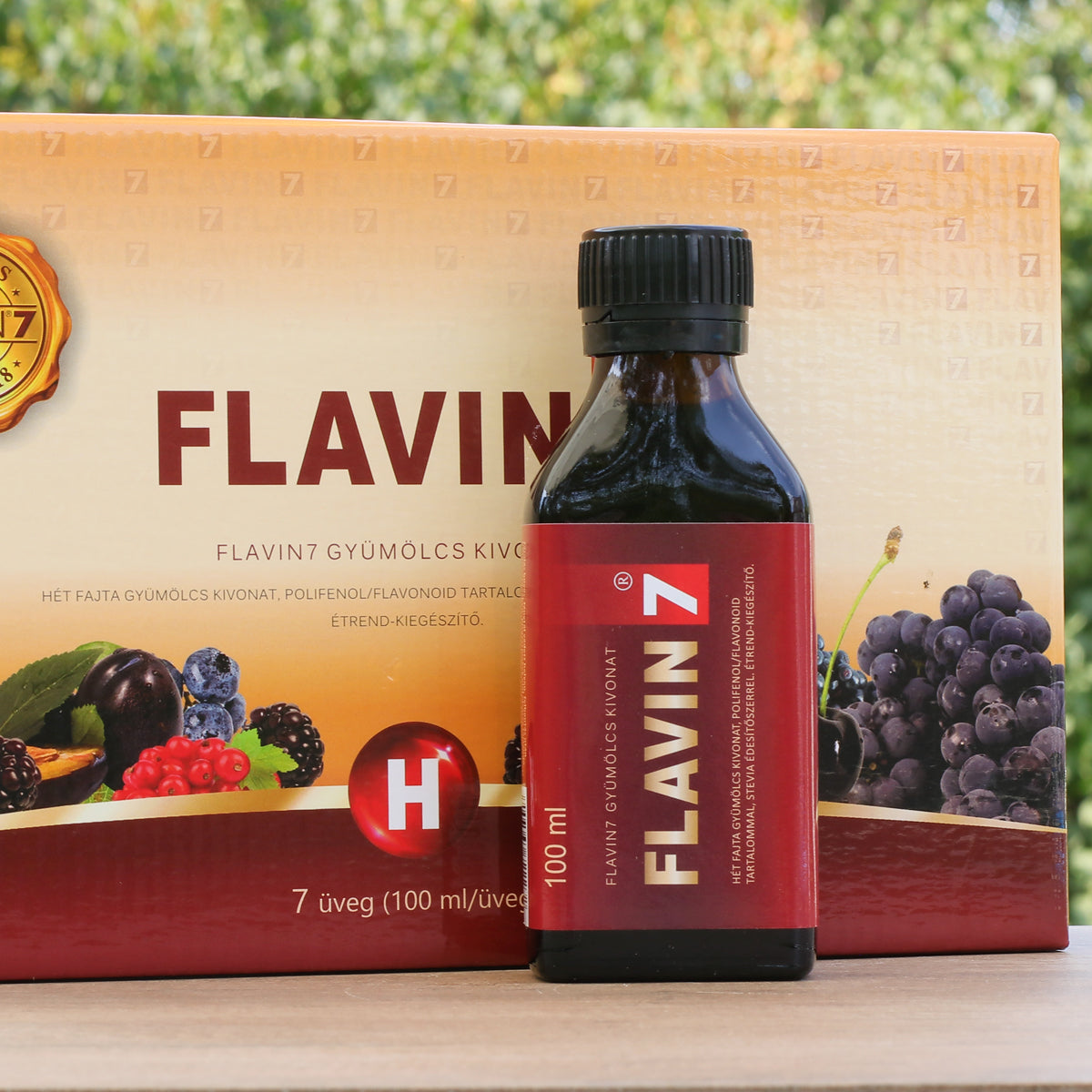 FLAVIN7 Bioflavonoid complex • 7 x 100 ml
