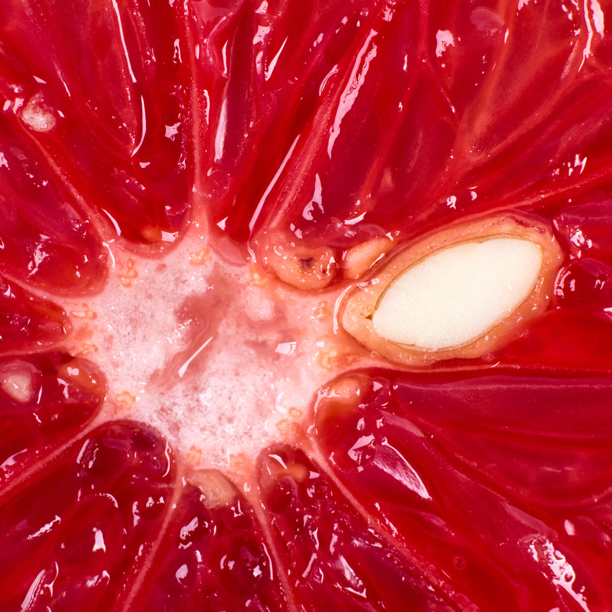 Mannavita Grapefruit Seed extract drops • 100 ml