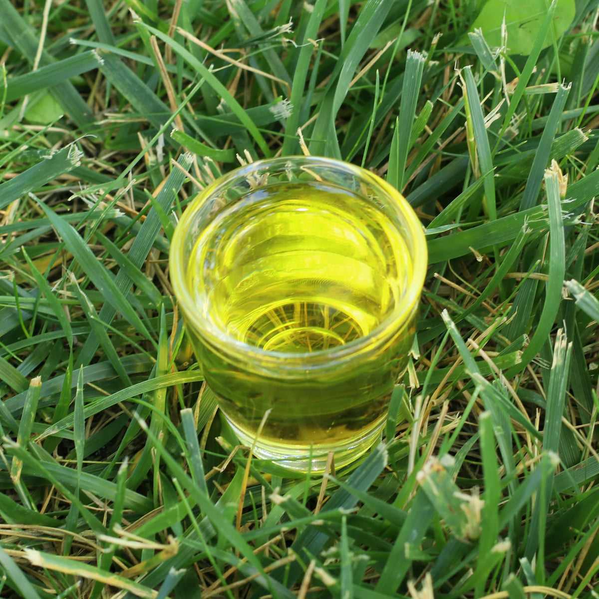 Mannavita Hungarian cold-pressed Milk Thistle seed oil • 250 ml