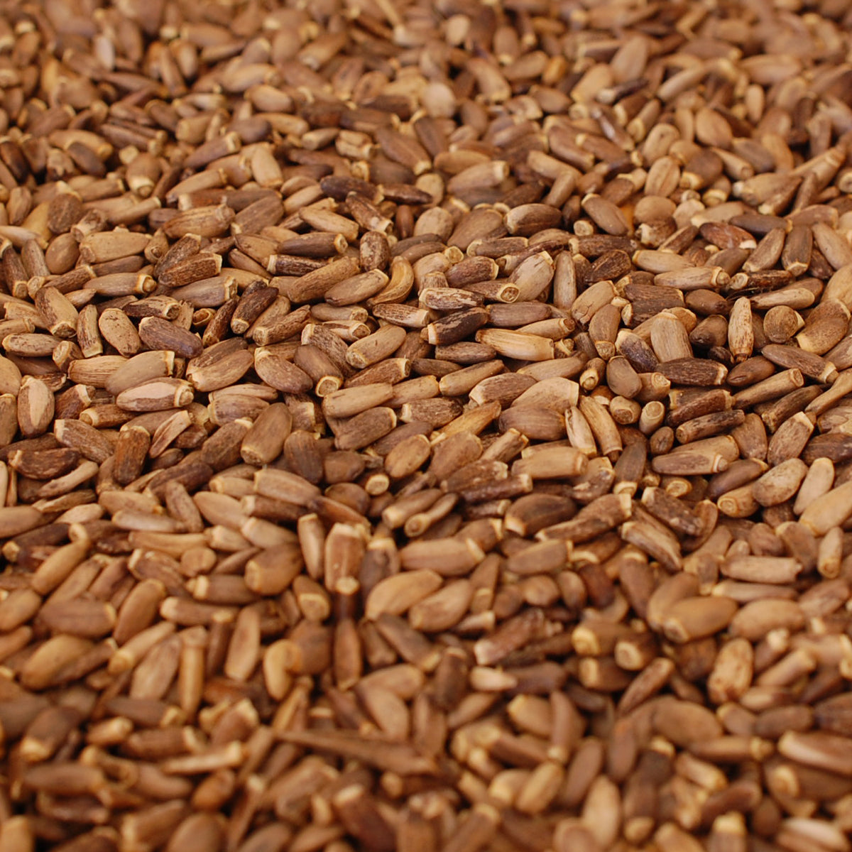 Mannavita Hungarian cold-pressed Milk Thistle seed oil • 250 ml