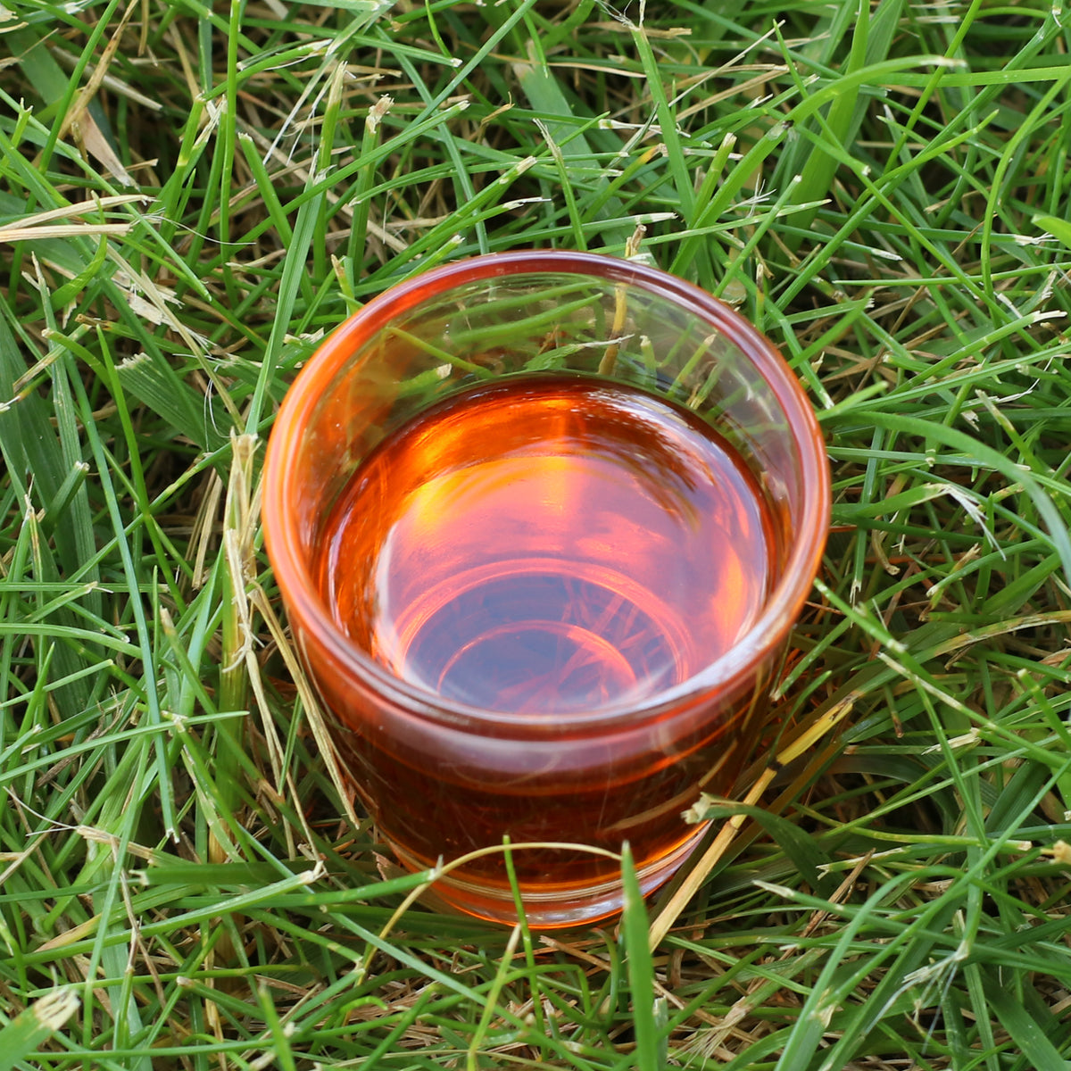 Mannavita Hungarian cold-pressed Sea Buckthorn seed oil • 40 ml