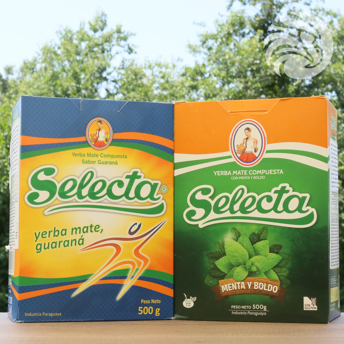 Selecta yerba mate tea • Boldo + Mint • 500 g