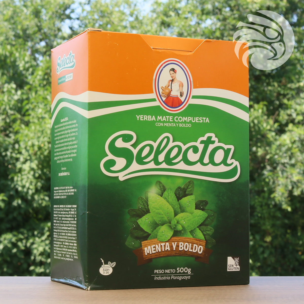 Selecta yerba mate tea • Boldo + Mint • 500 g