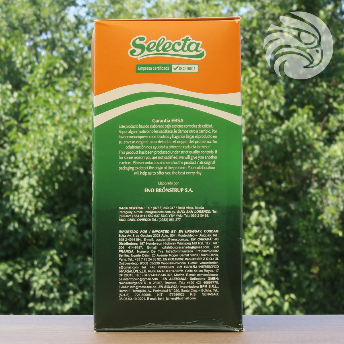 Selecta yerba mate tea • Boldo + Mint • 500 g