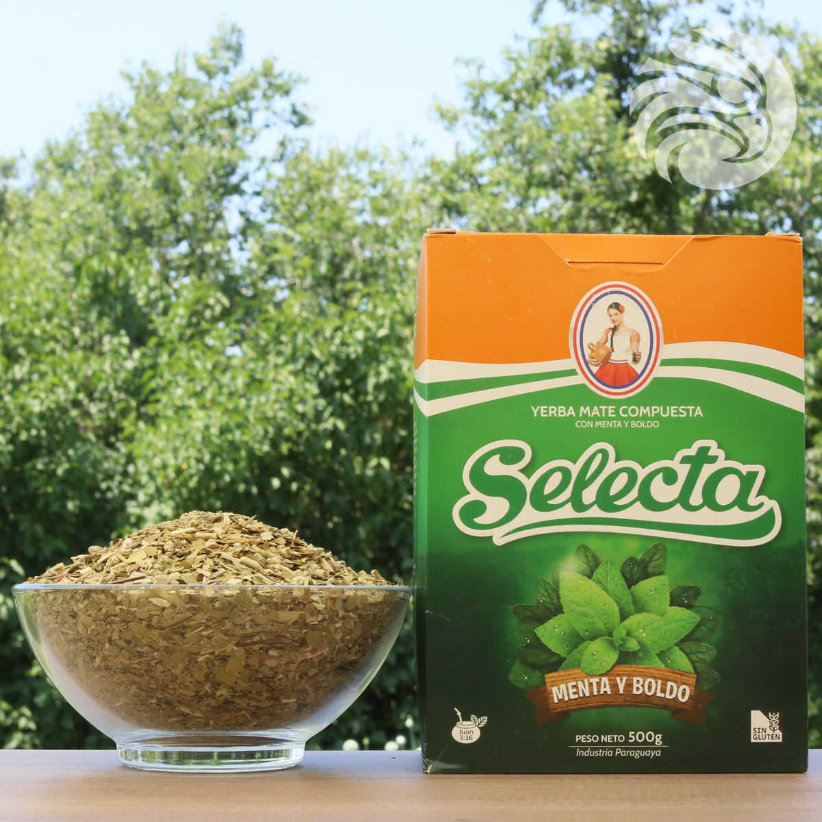 Selecta yerba mate tea • Boldo + Mint • 500 g