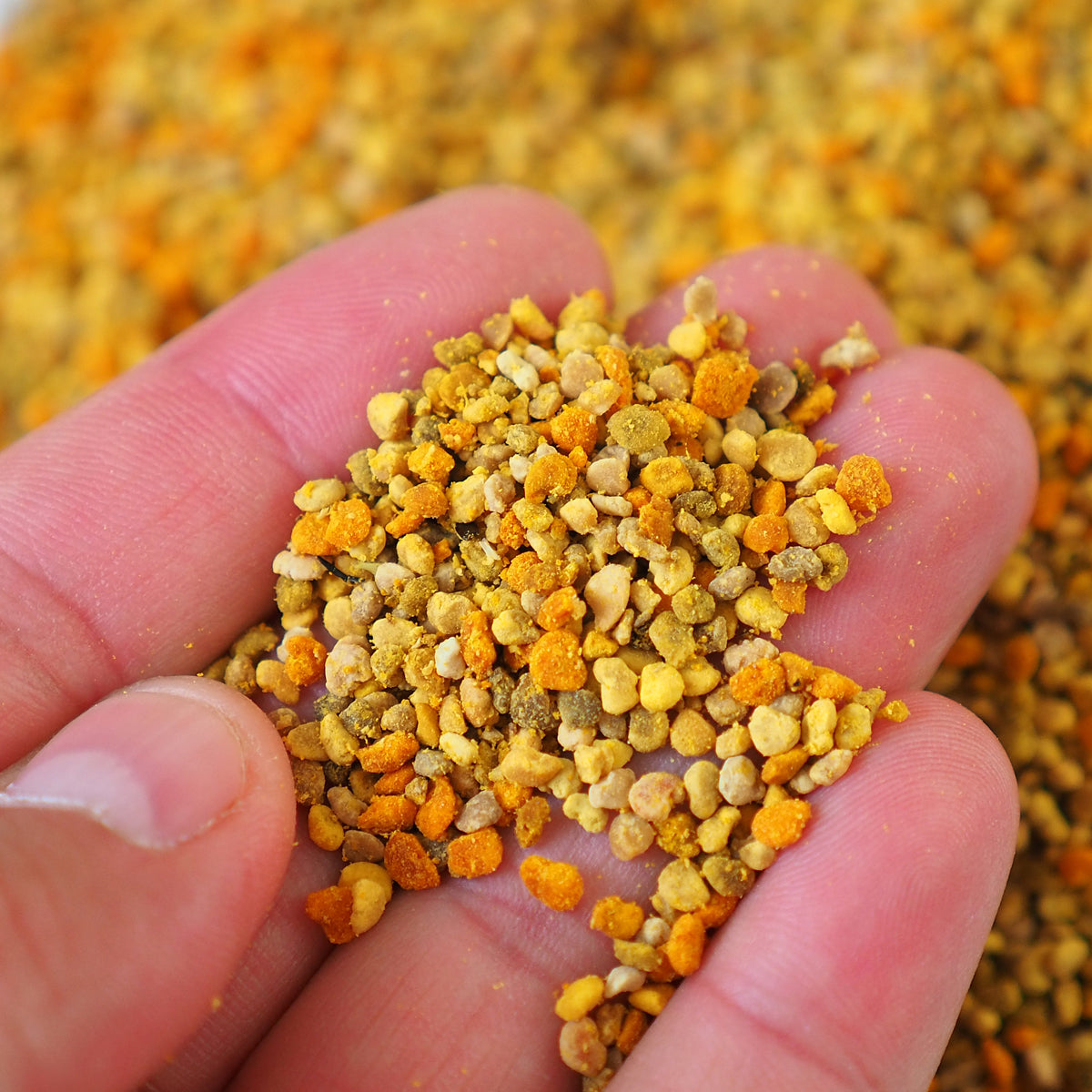 Mannavita dried Multifloral Bee pollen • 200 g