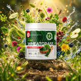 Mannavita raw wheatgrass juice powder • gluten-free • 140g