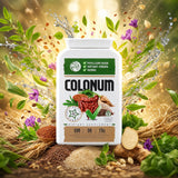 COLONUM colon cleansing & gut restore capsules • 100 capsules