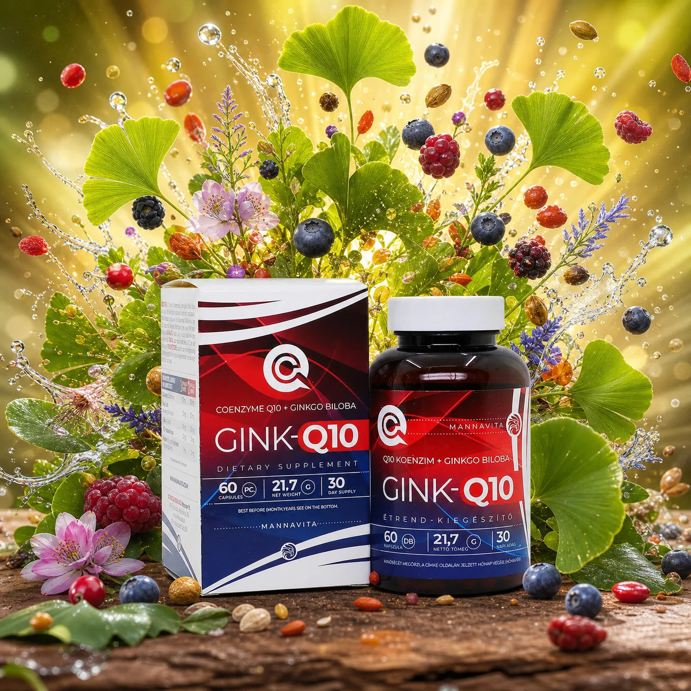 GINK-Q10 • Q10 Coenzyme + Ginkgo Biloba complex • 60 capsules