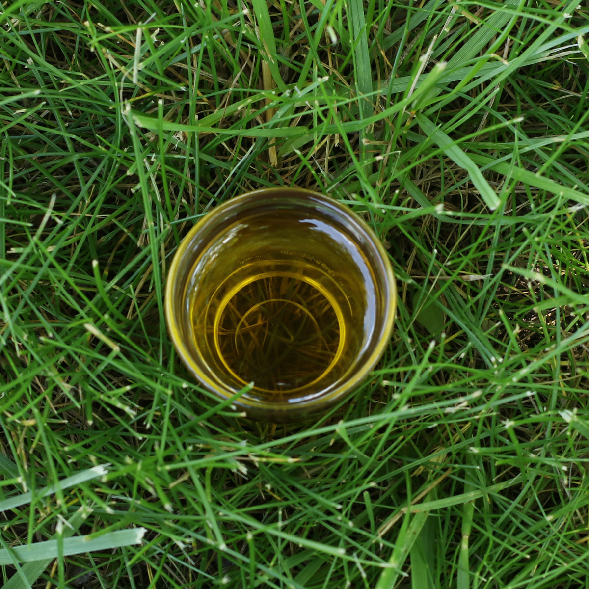 Mannavita Hungarian cold-pressed Grapeseed oil • 250 ml