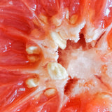 Mannavita Grapefruit Seed extract drops • 100 ml