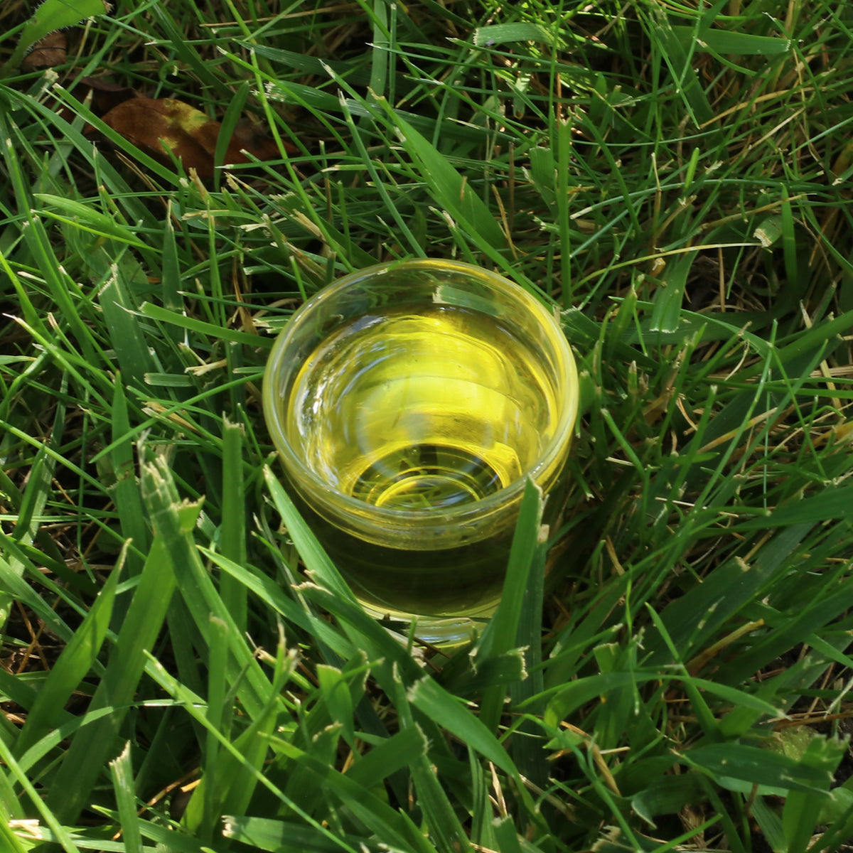 Mannavita Hungarian cold-pressed Poppy seed oil • 250 ml