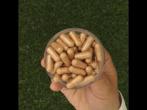 GINK-Q10 • Q10 Coenzyme + Ginkgo Biloba complex • 60 capsules