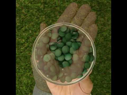 Mannavita Spirulina 500 mg tablets • 180 pcs.