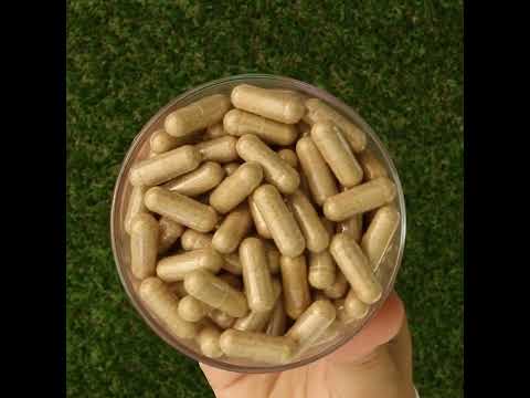 Ashwarax for anxiety, panic & insomnia relief • 90 capsules