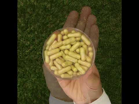 ENZIMA+ digestive enzymes complex with Betain HCL • 90 capsules