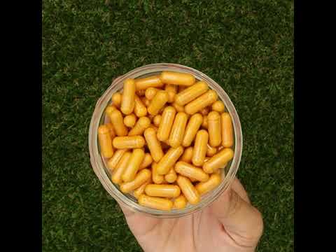 KURKUNEX turmeric extract complex • 90 capsules
