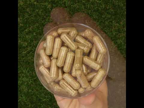 HEPADEX liver-regenerating and liver health-improving complex • 60 capsules