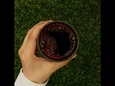 Mannavita Blueberry 100% pure pressed juice • 500 ml