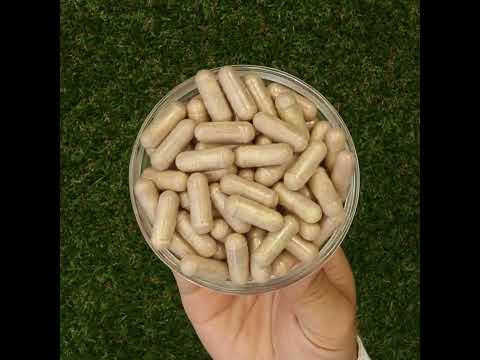 Mannavita Vitamin C complex • 250 mg bioactive • 60 capsules