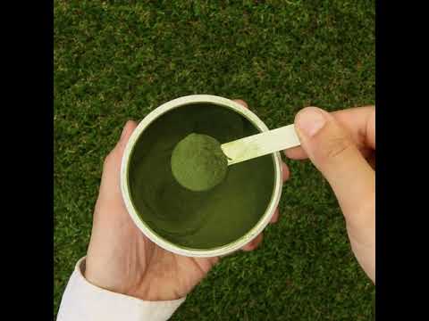 Mannavita raw wheatgrass juice powder • gluten-free • 140g