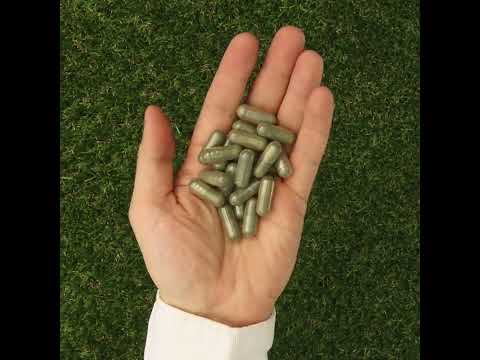 IMUNEX algae complex • with 5 algae • 180 capsules