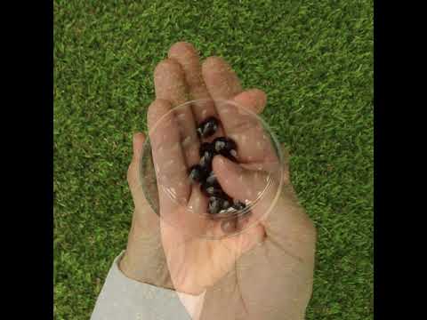 MegaKRILL 1500 mg krill oil + fish oil • 90 capsules