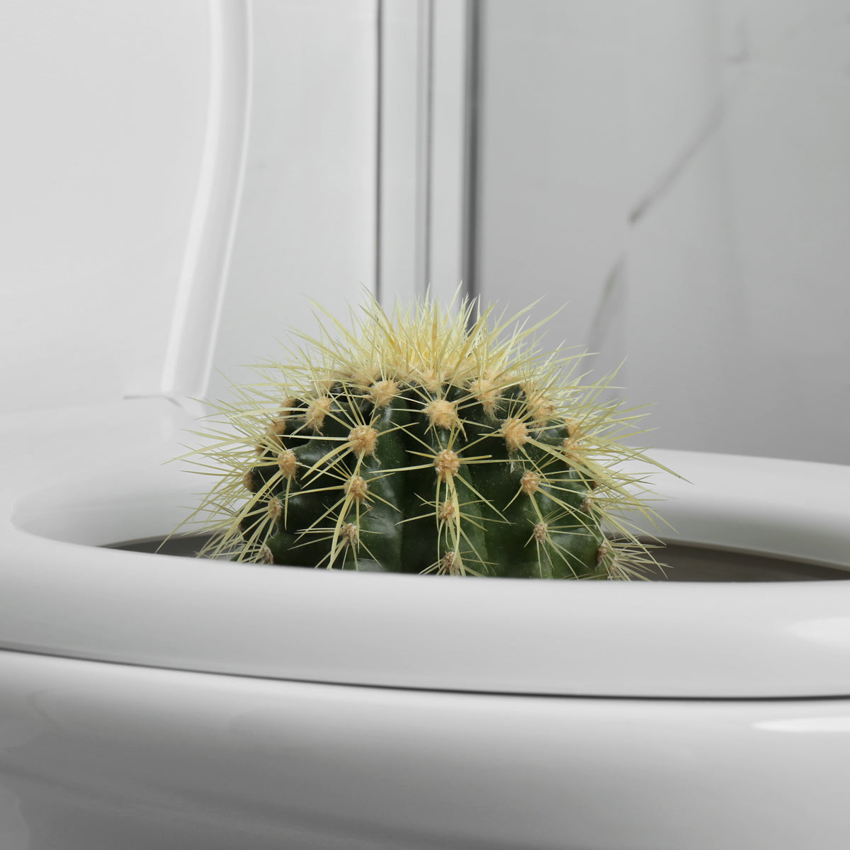 Proctan cream for Hemorrhoids • 50 ml