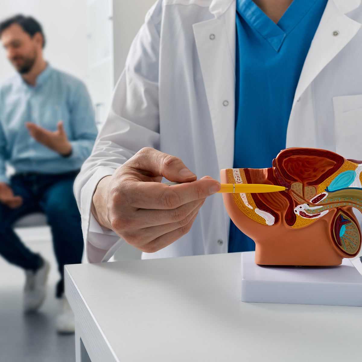 PROSTAX prostate complex • 60 capsules