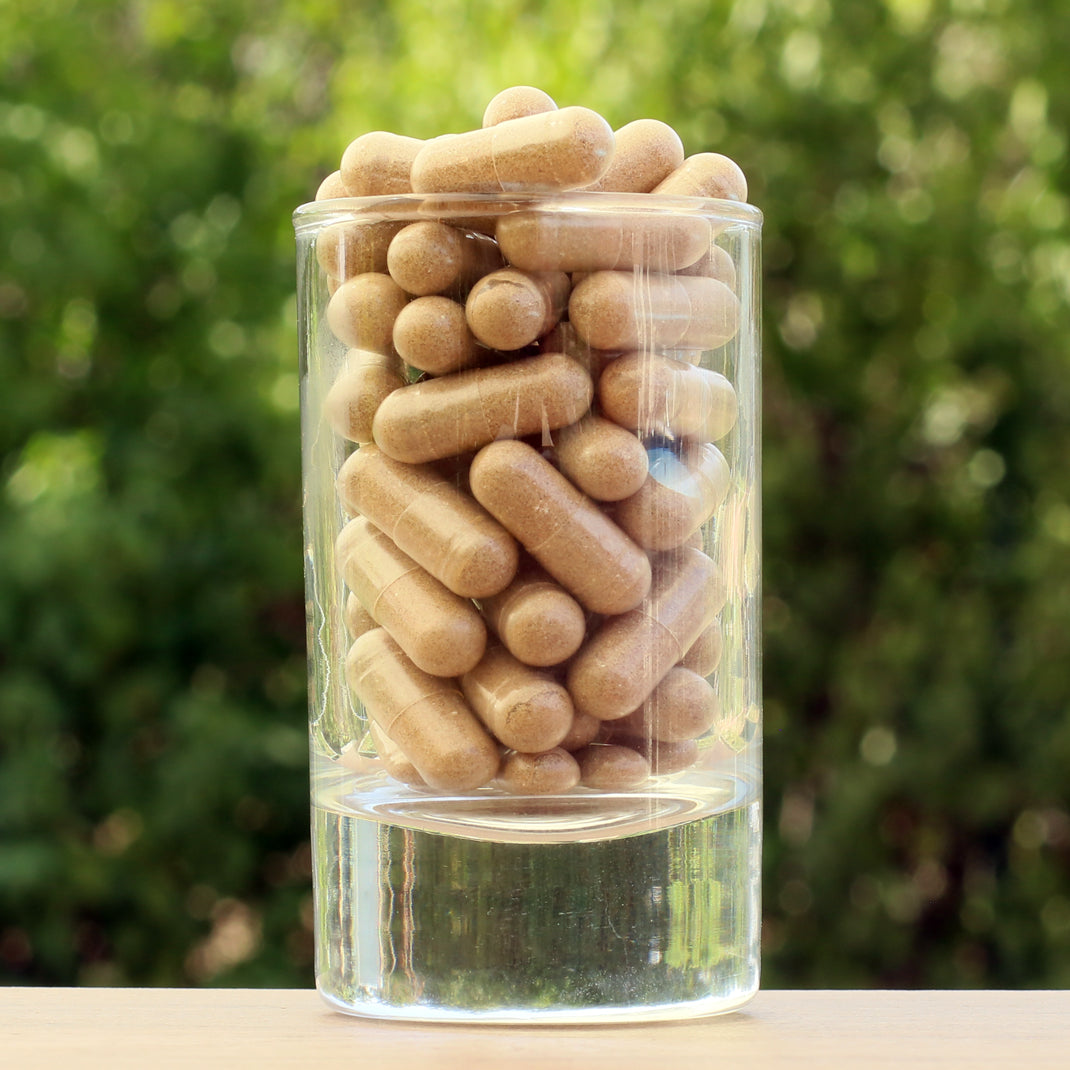 PROSTAX prostate complex • 60 capsules