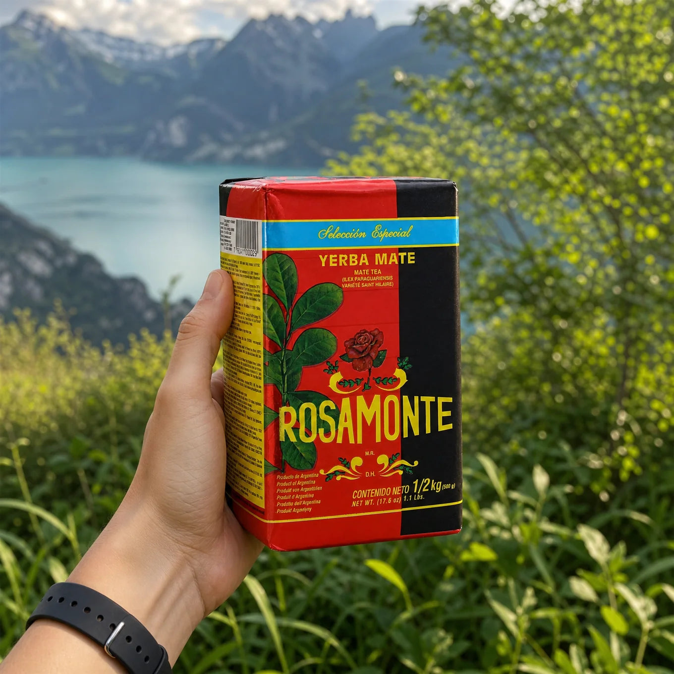 Rosamonte yerba mate tea • ESPECIAL • 500 g